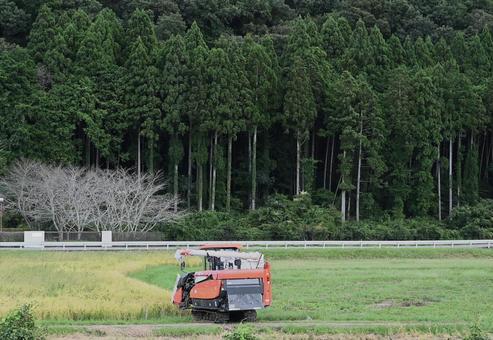 稲刈り機 稲刈り機 稲刈り,コンバイン,米作りの写真素材
