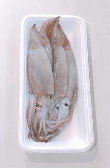 raw squid, JPG