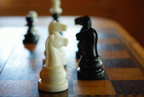 互い違いに並ぶチェスのナイトの駒 チェス,ゲーム,ナイトの写真素材