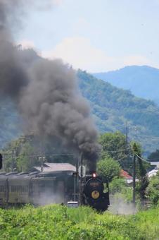 SLやまぐち号 D51 SLやまぐち号 D51の写真