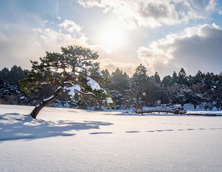 雪降る日本の雪景色 雪降る日本の雪景色の写真