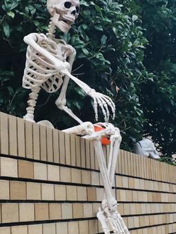 ハロウィン ハロウィン 骸骨,ガイコツ,halloweenの写真素材