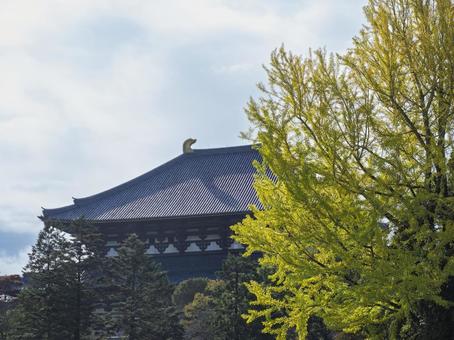 秋の光に映える大仏殿 東大寺,大仏殿,奈良の写真素材