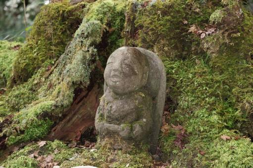 緑の苔に生えた大樹とお地蔵様 緑の苔に生えた大樹とお地蔵様 緑,苔,生えたの写真素材
