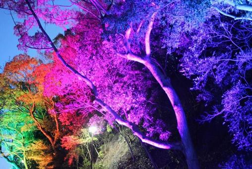 山陽須磨浦公園駅の敦盛桜 山陽須磨浦公園駅の敦盛桜の写真