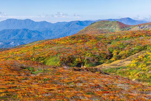 秋色に染まる 栗駒山の絶景 秋色に染まる 栗駒山の絶景 山,秋,紅葉の写真素材