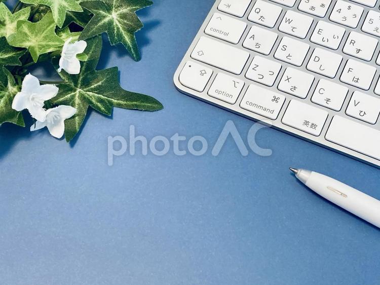 パソコンとペン、アイビー（青背景） パソコン,キーボード,机の写真素材