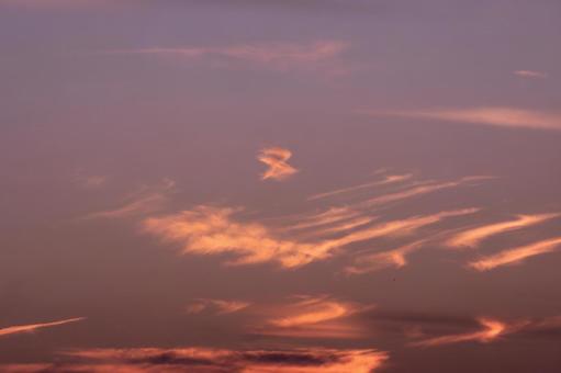 夕空のささやきの写真