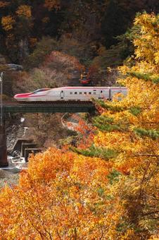 田沢湖線を走る秋田新幹線こまち 紅葉,秋,鉄道の写真素材