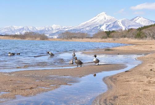 猪苗代湖_会津磐梯山 猪苗代湖_会津磐梯山の写真