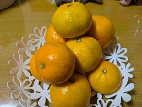 みかん 東京,柿,みかんの写真素材