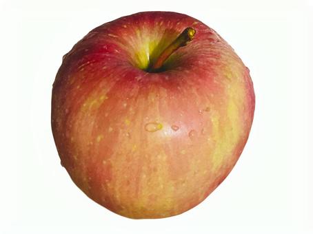 林檎 リンゴ,果物,フルーツの写真素材