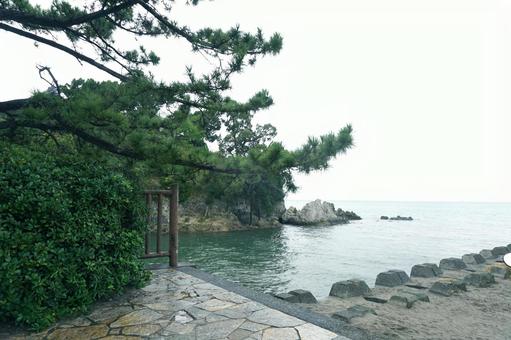 神奈川県葉山の森戸海岸 葉山,逗子,森戸海岸の写真素材