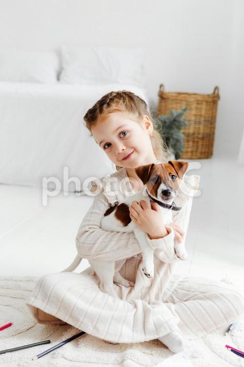 床に座って犬を抱っこしている女の子 犬,動物,1匹の写真素材