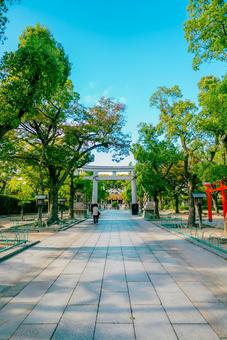 【兵庫】神戸駅周辺の湊川神社 湊川神社,兵庫,神戸の写真素材
