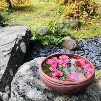 花手水 花手水の写真