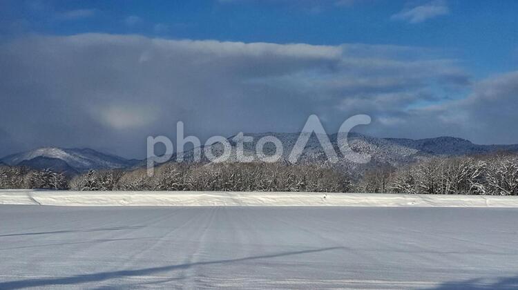 冬の北海道 雪,冬,風景の写真素材