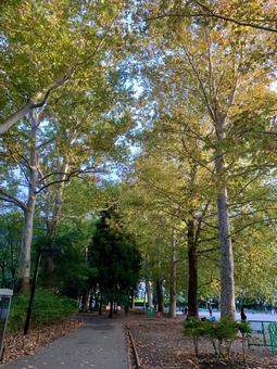 林試の森公園の写真