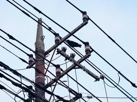 大切なライフライン・電柱 大切なライフライン・電柱 電柱,電線,ケーブルの写真素材