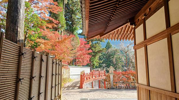 紅葉の寺院 紅葉,寺院,お寺の写真素材