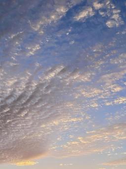 ピンク色の雲のある朝空 空,ピンク,朝空の写真素材