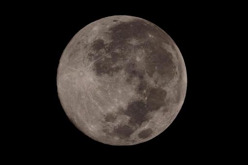 11月の満月 月,夜空,満月の写真素材