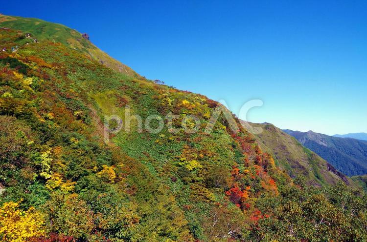 群馬県　紅葉シーズンの谷川岳　 谷川岳,秋,紅葉の写真素材
