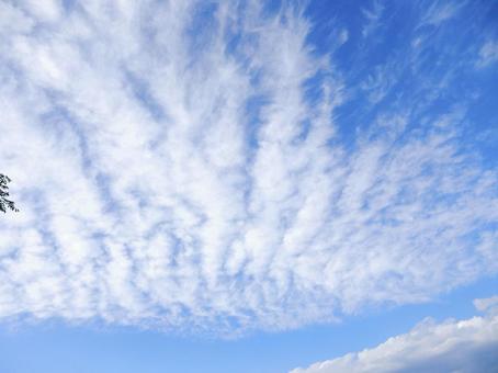 【空の写真】秋空 【空の写真】秋空の写真