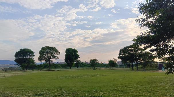 芝生 公園 芝生 公園 の写真