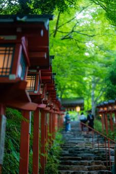 Lanterns at Kifune Shrine, JPG Lanterns at Kifune Shrine, JPG