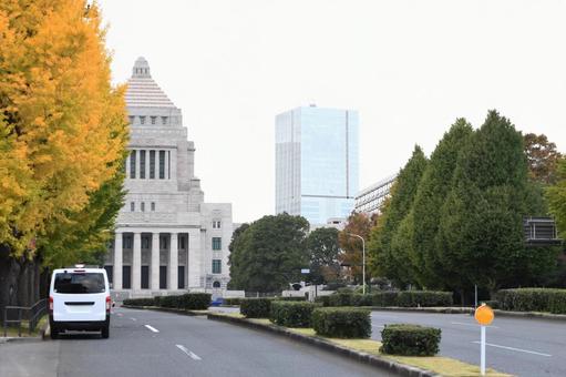 国会議事堂 国会議事堂,議事堂,国会の写真素材