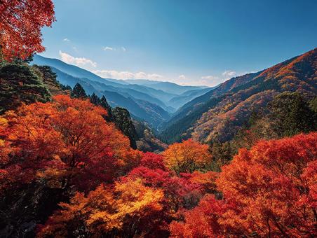 赤とオレンジの山景色 赤とオレンジの山景色の写真