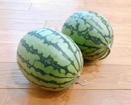 watermelon, JPG