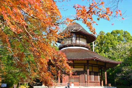 秋の松尾芭蕉 俳聖殿 俳聖殿,八角堂,松尾芭蕉の写真素材