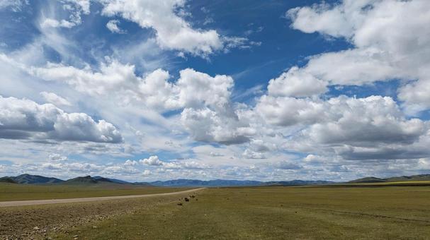 夏のモンゴルの草原と一本道 モンゴル,草原,外国の写真素材