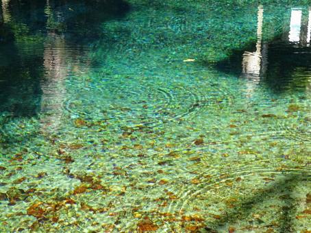 山口県 別府弁天池の写真