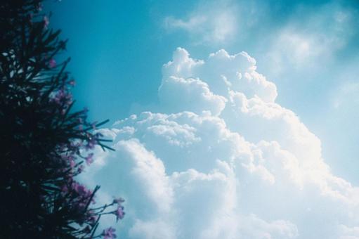 積乱雲 積乱雲の写真
