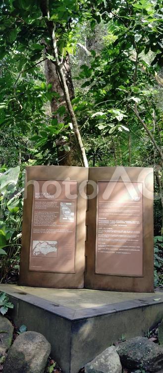 ブキテマ自然保護区の案内板 シンガポール,ブキテマ自然保護区,bukitの写真素材