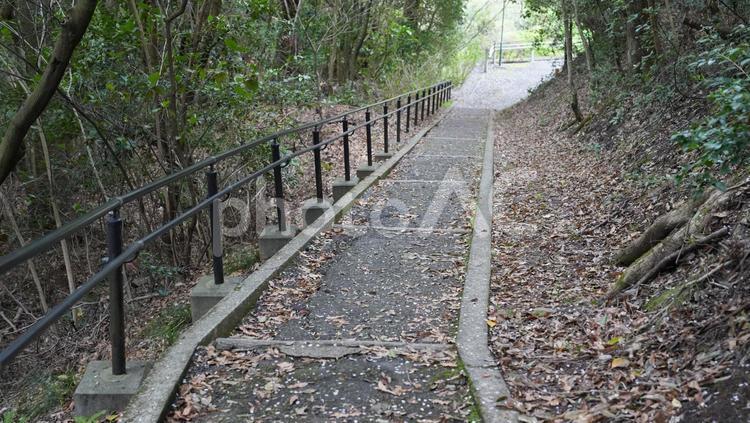 高舞登展望所の階段 高舞登展望所,展望台,景勝地の写真素材
