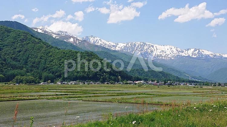 白馬　田園風景　 長野県,風景,白馬の写真素材