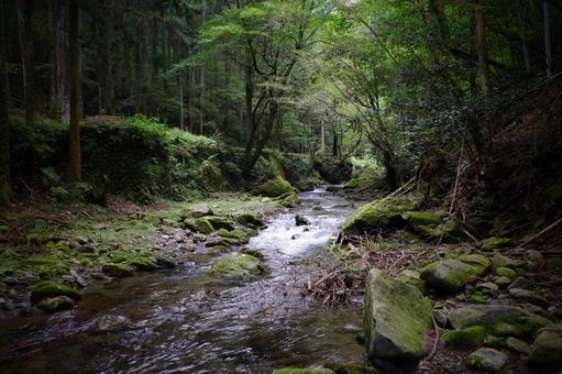 山を流れる川 川,山,小川の写真素材
