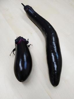 なす/普通&長い なす/普通&長いの写真