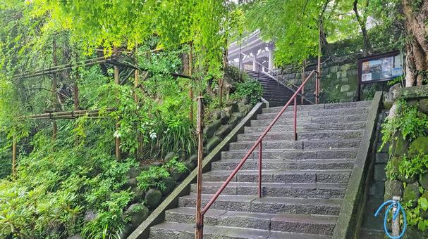 坂東33観音 04番 長谷寺 参道の石段 坂東33観音 04番 長谷寺 参道の石段 長谷寺,海光山,慈照院の写真素材