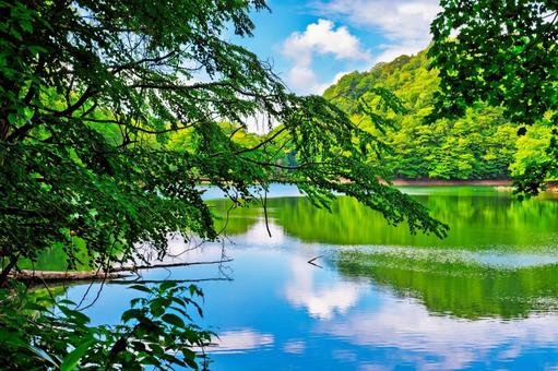 青空と緑鮮やかな白神山地十二湖の風景 青森県,白神山地,湖の写真素材