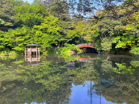 公園の池の反射池2 公園の池の反射池2 池,木,自然の写真素材
