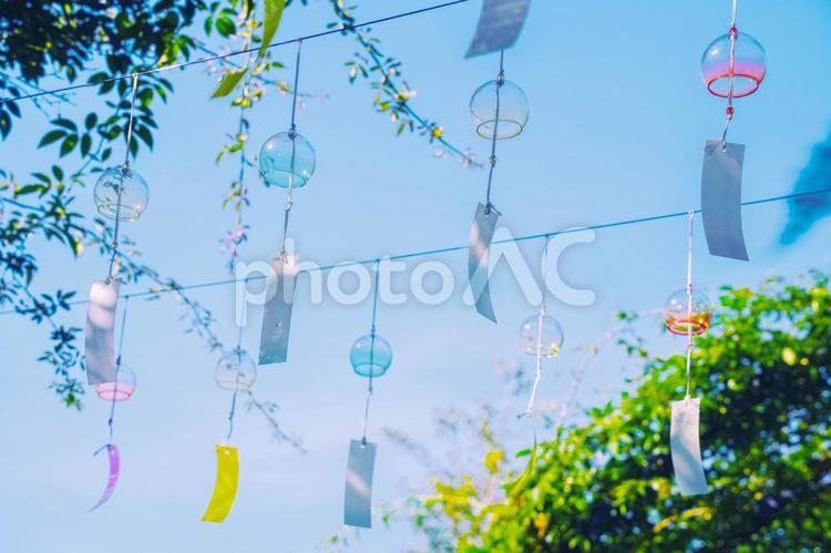青空と木々の下のさわやかな風鈴４ 風鈴,青空,木の写真素材