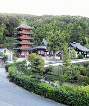 円光寺 明王院 五重塔 円光寺 明王院 五重塔 福山市,円光寺,明王院の写真素材