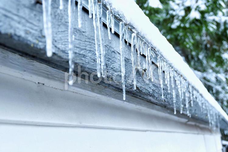 軒先きから垂れる氷柱 つらら,氷柱,軒先きの写真素材