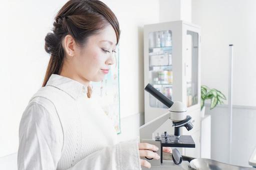 研究をする若い女性 女性,若い,研究室の写真素材