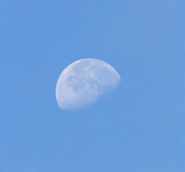昼の月 昼の月の写真